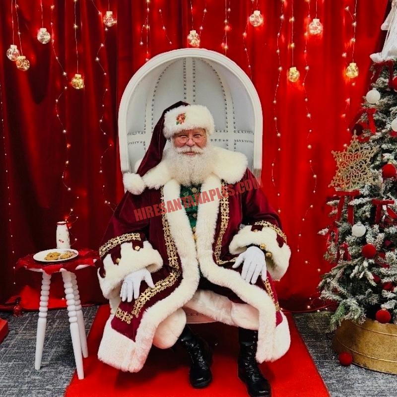 Santa for hire on Marco Island, FL: real bearded Santa in a white chair with cookies and milk by a tree.